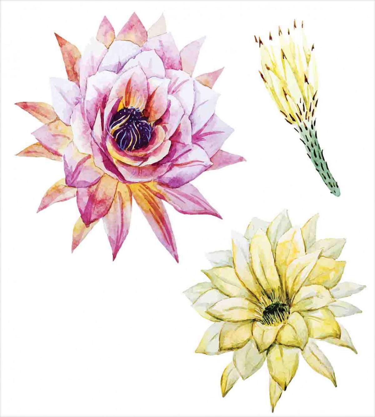 Watercolored Flowers — Pattern