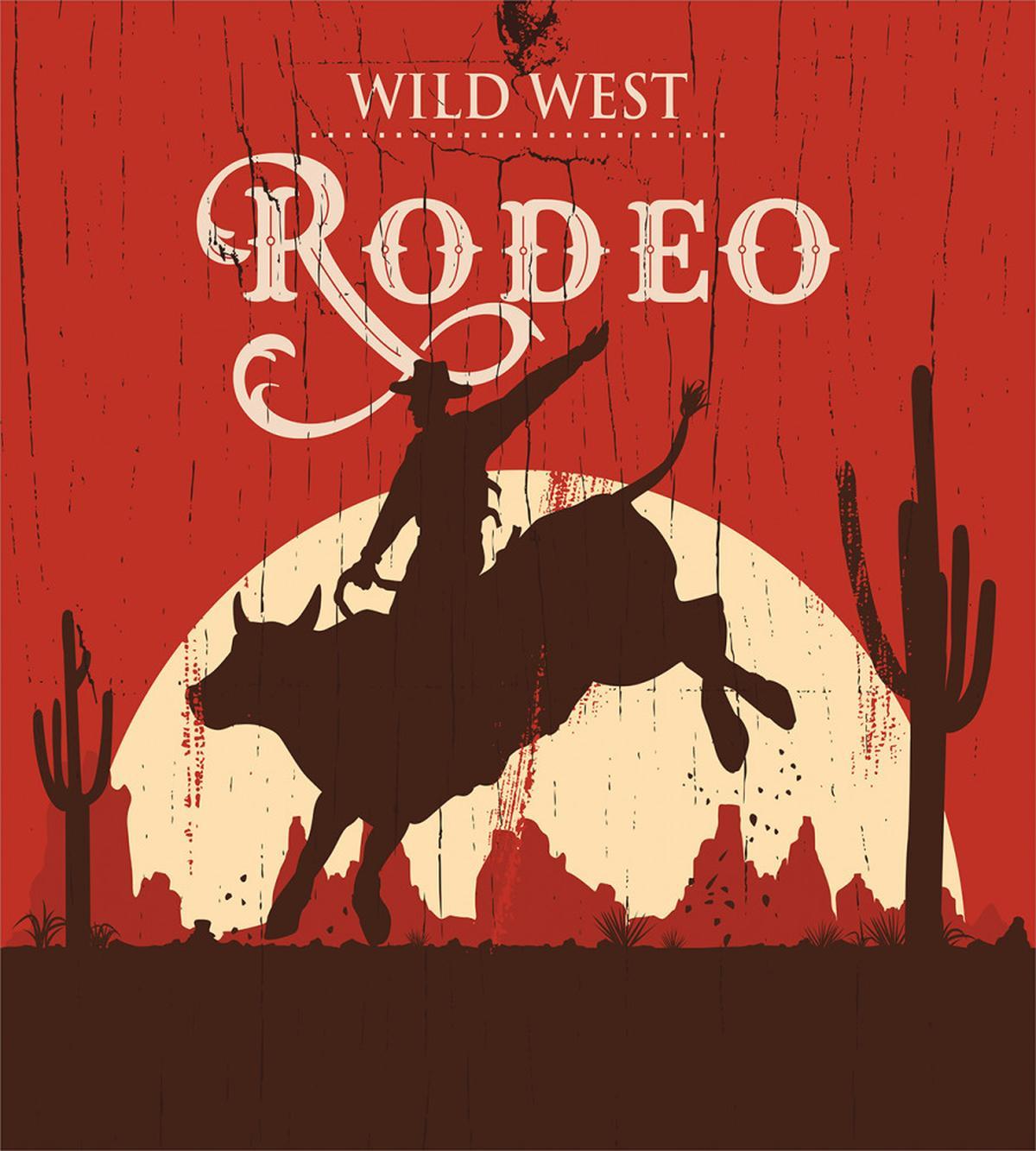 Rodeo Cowboy Rides Bull — Pattern