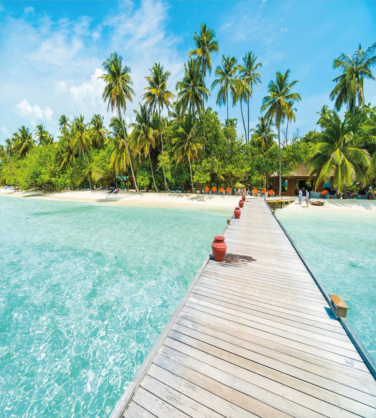 Maldives Island Beach — Pattern