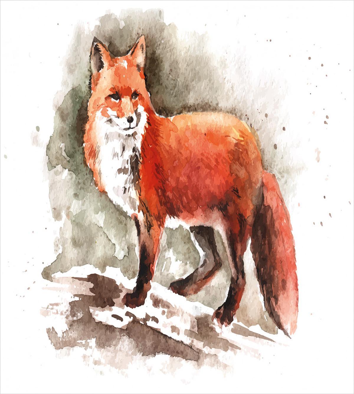 Watercolor Bushy Tail Tod — Pattern