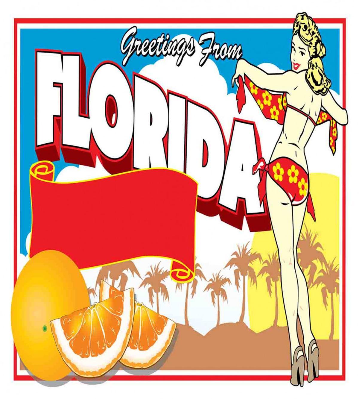 Pin-up Girl and Oranges — Pattern