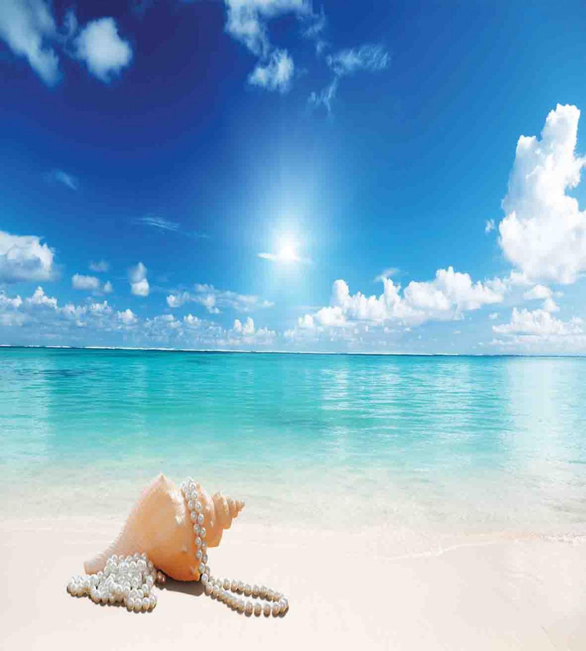 Seashells Tropical Beach — Pattern