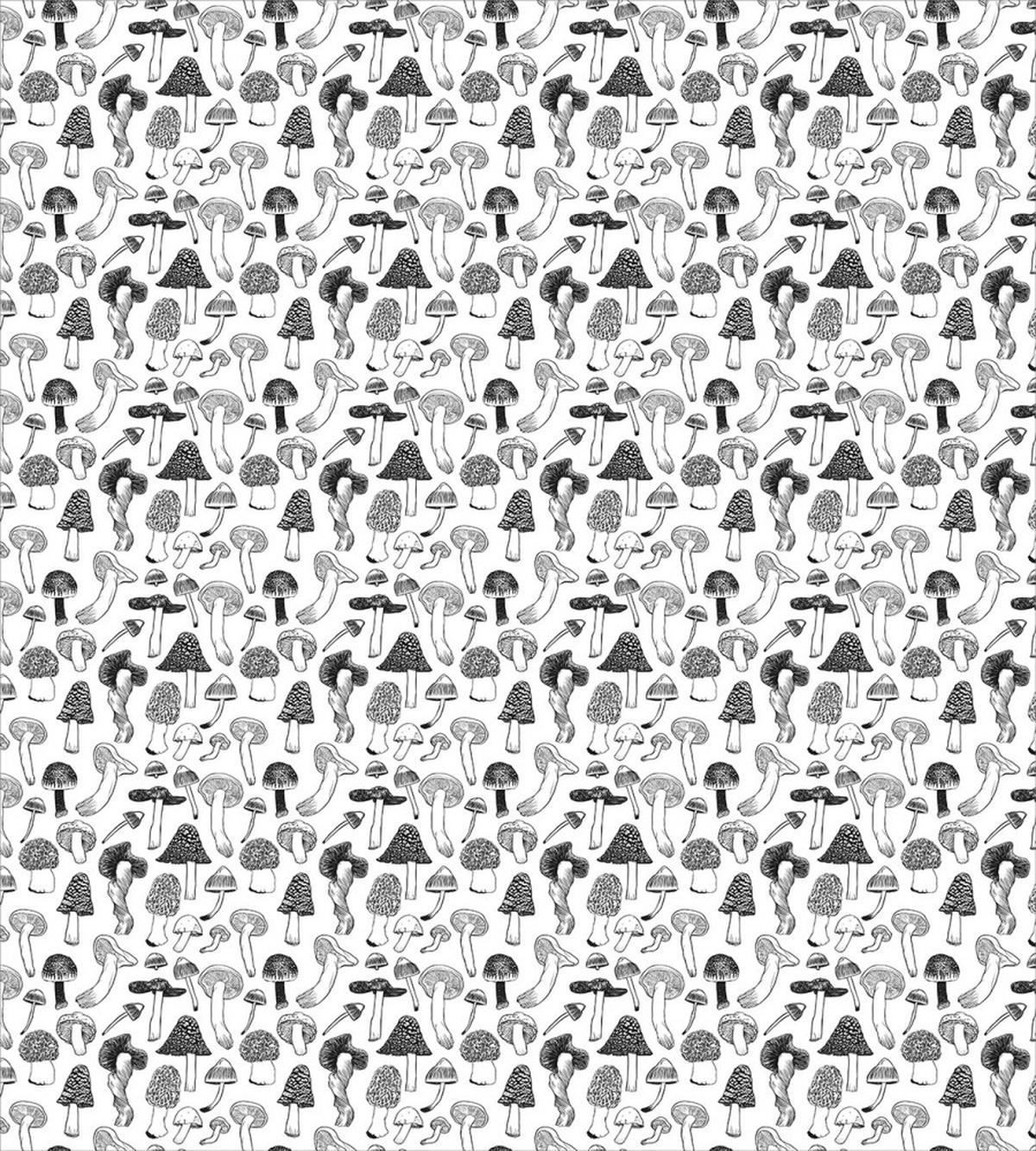 Various Types of Fungus — Pattern