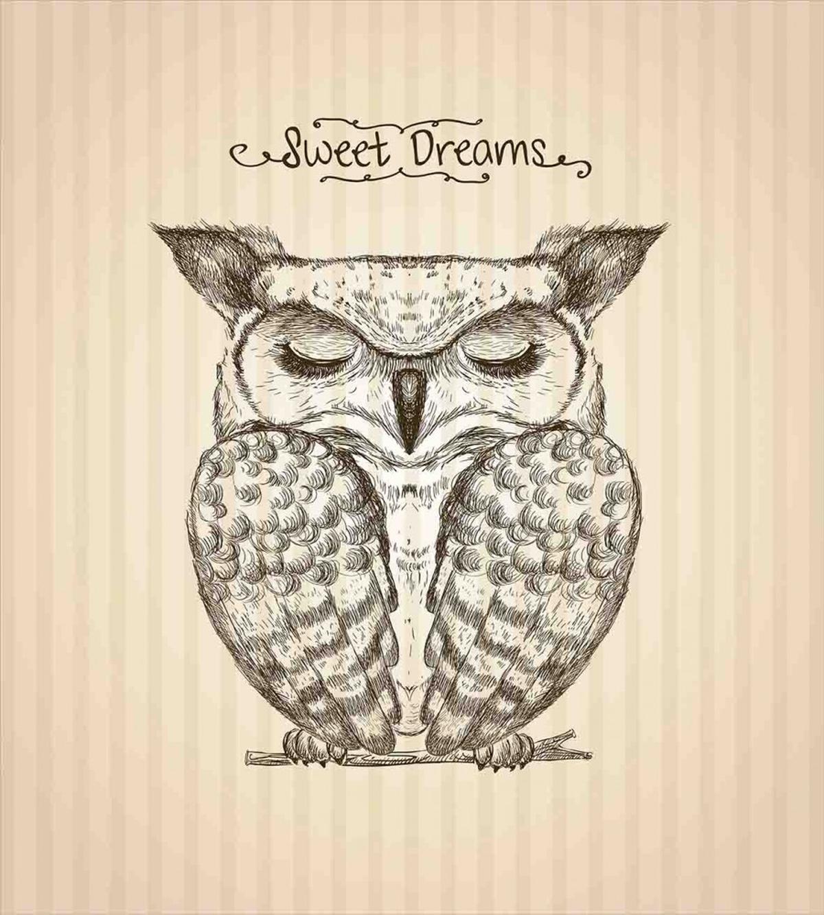 Sleeping Owl Dreams — Pattern