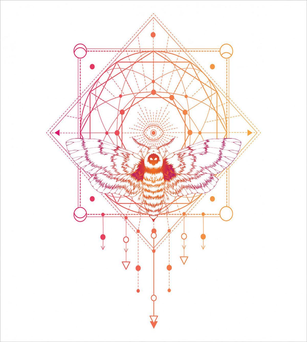 Geometrical Abstract Moth — Pattern
