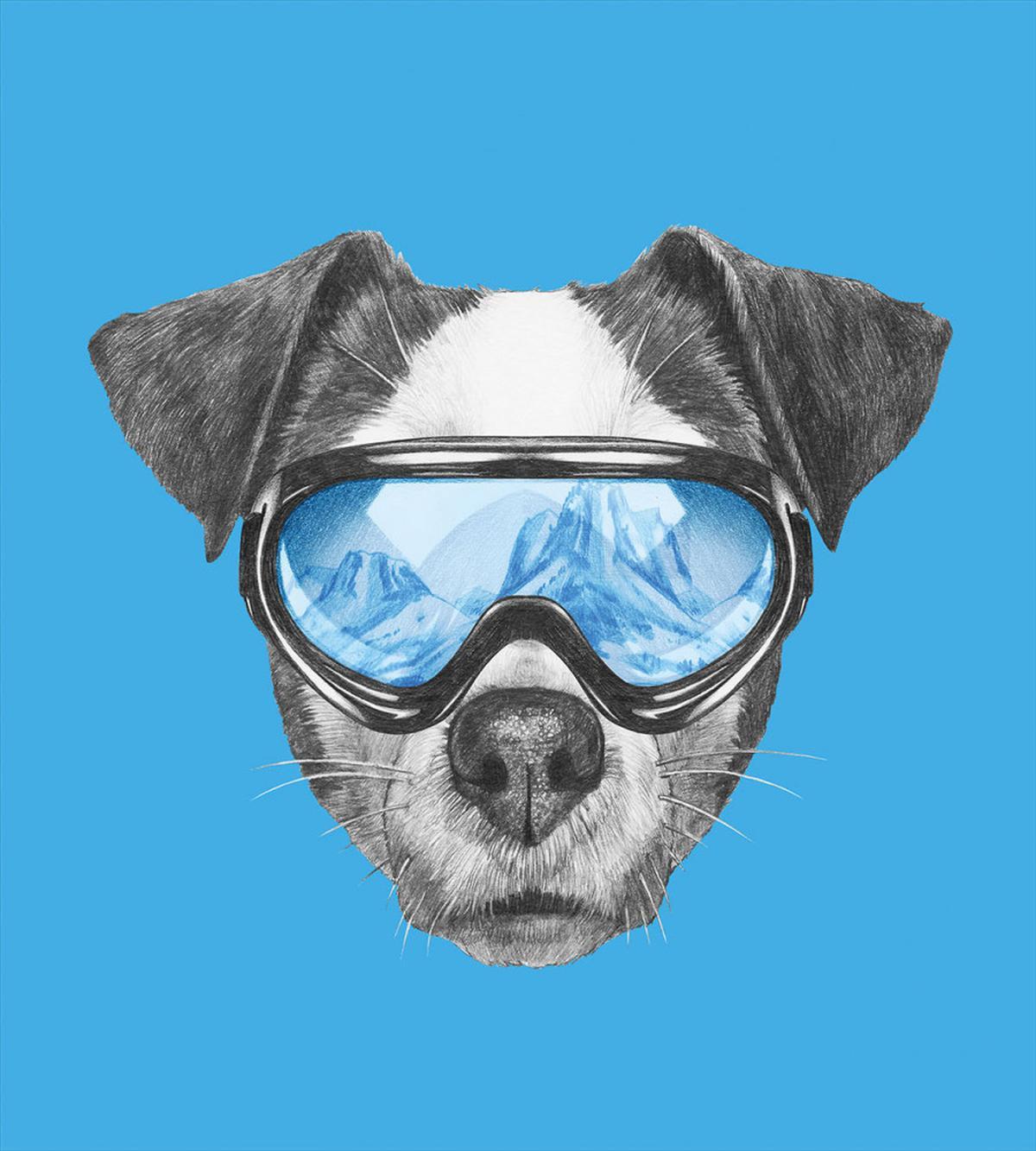 Skiing Cool Doggie — Pattern