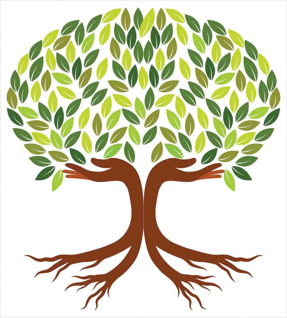 Symbolic Eco Tree — Pattern