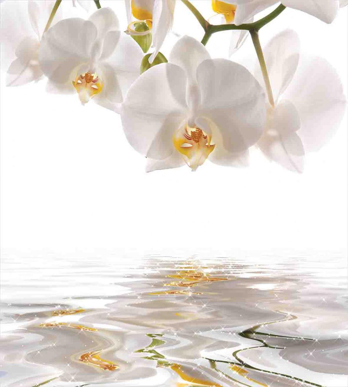 Magical Delicate Orchids — Pattern