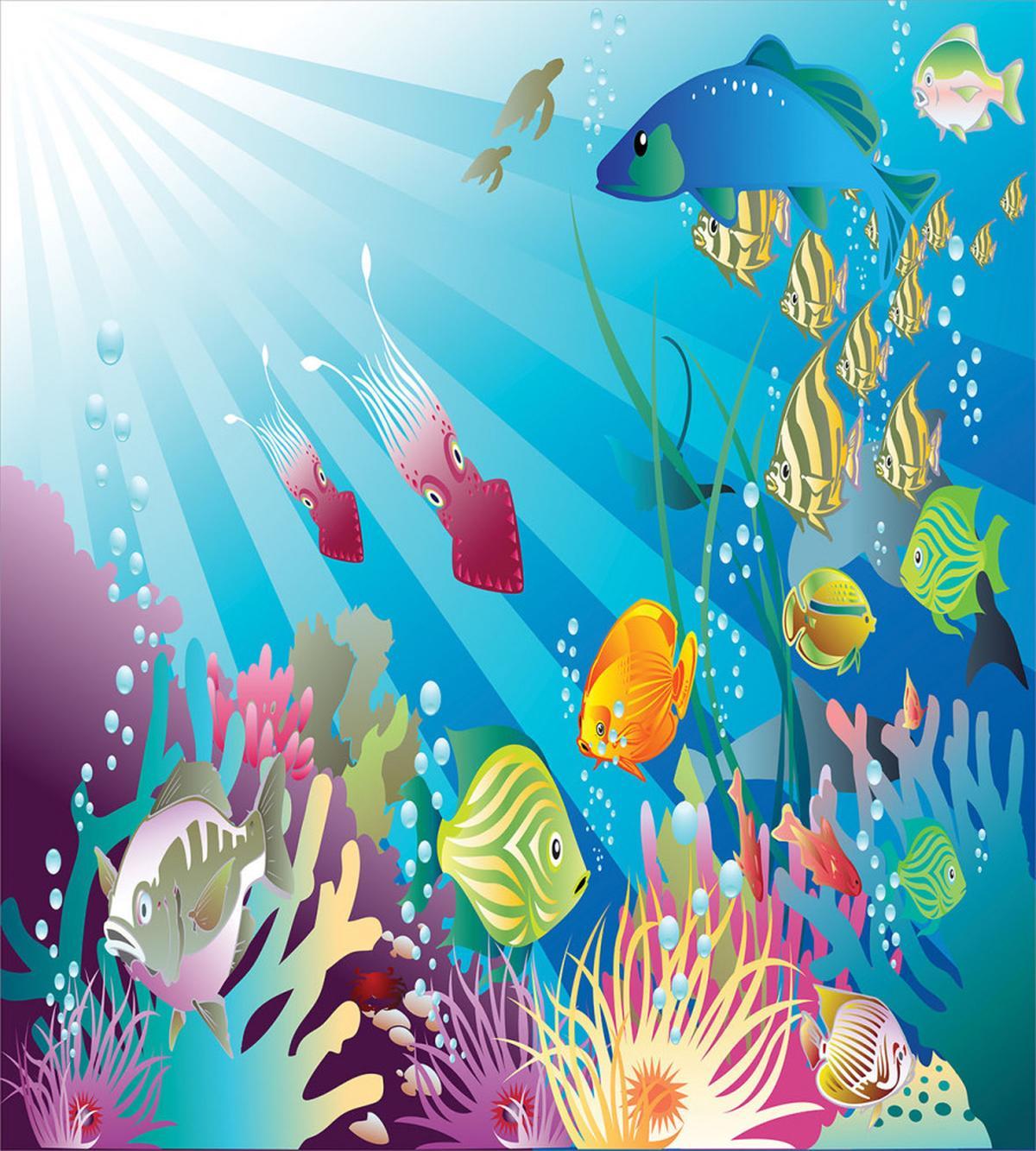Fish Species in the Sea — Pattern