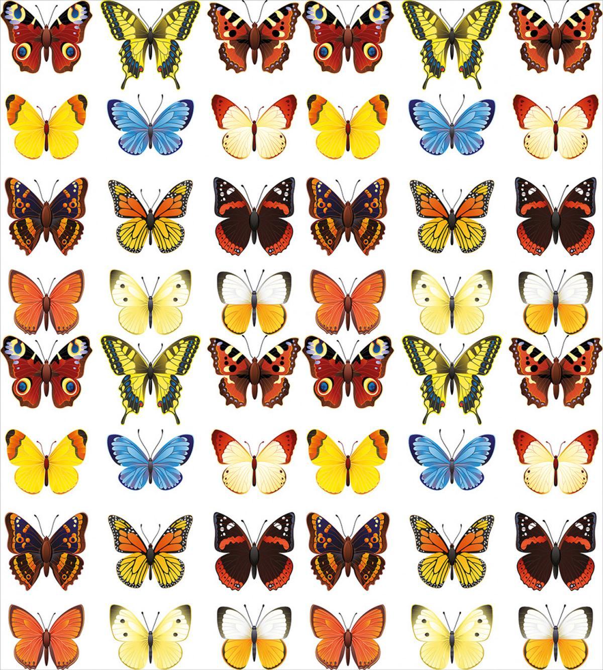 Butterflies Many Shapes — Pattern