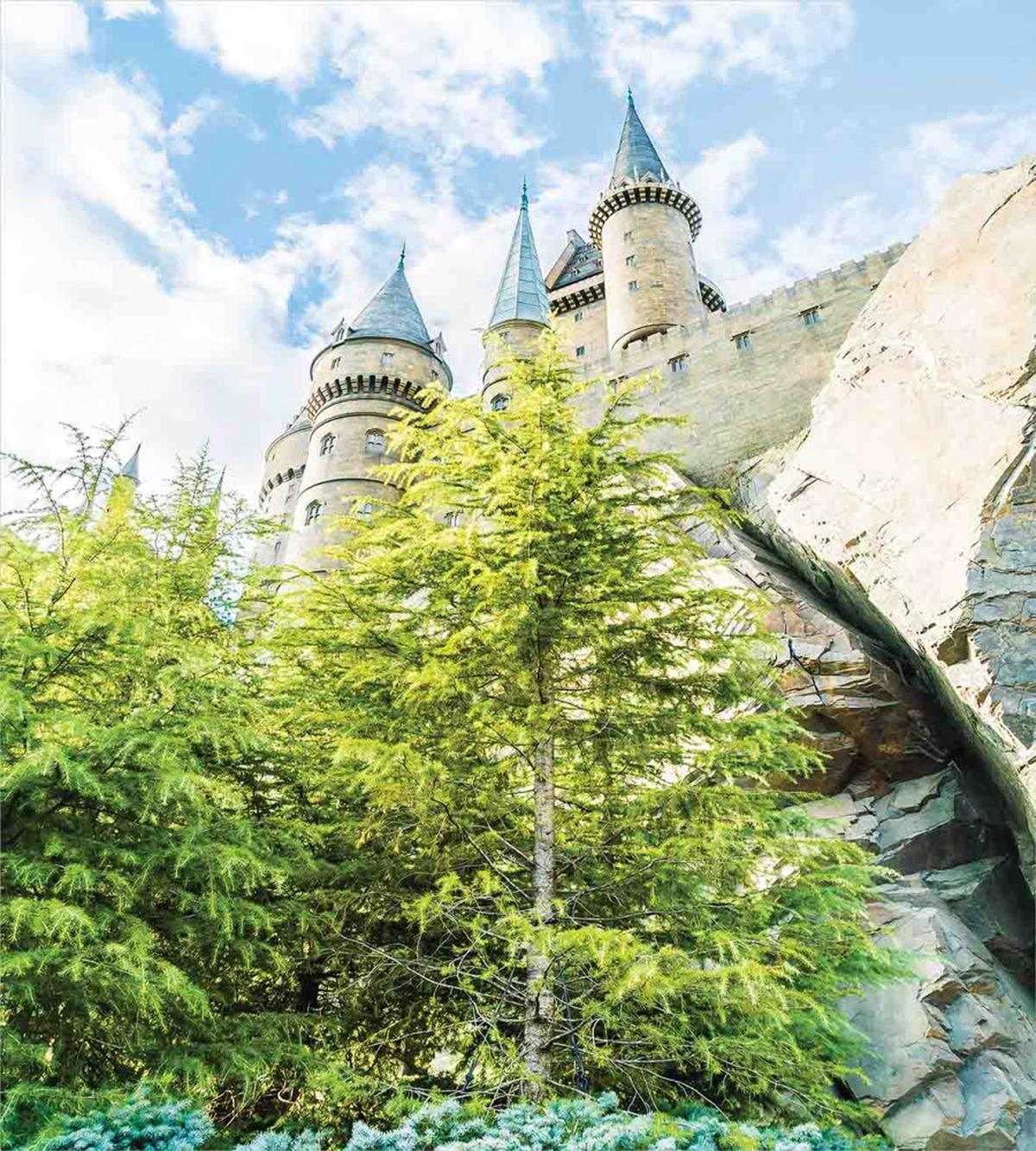 Witchcraft Castle Japan — Pattern