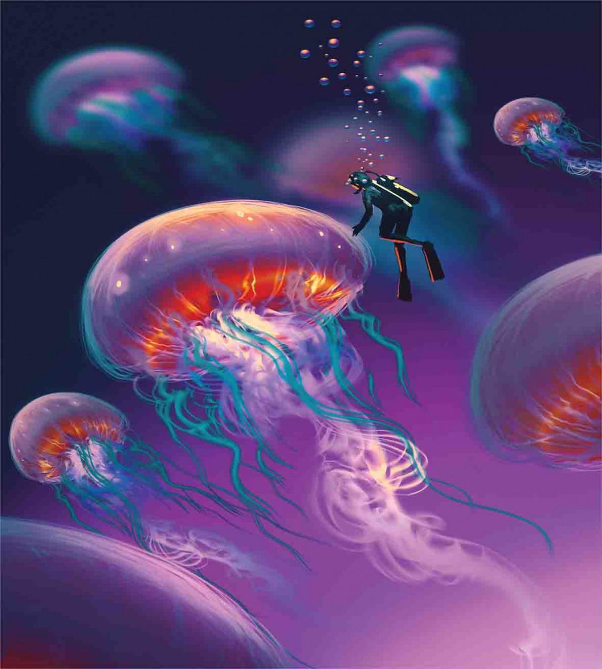 Jellyfish — Pattern