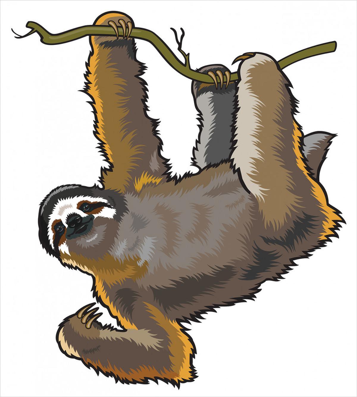 Lazy Sloth Bear Cartoon — Pattern
