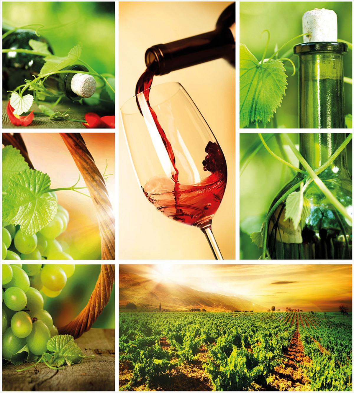 Wine Tasting Grapevine — Pattern