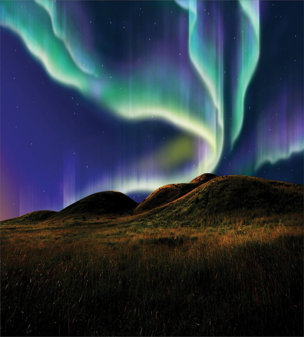 Meadows in the Night — Pattern