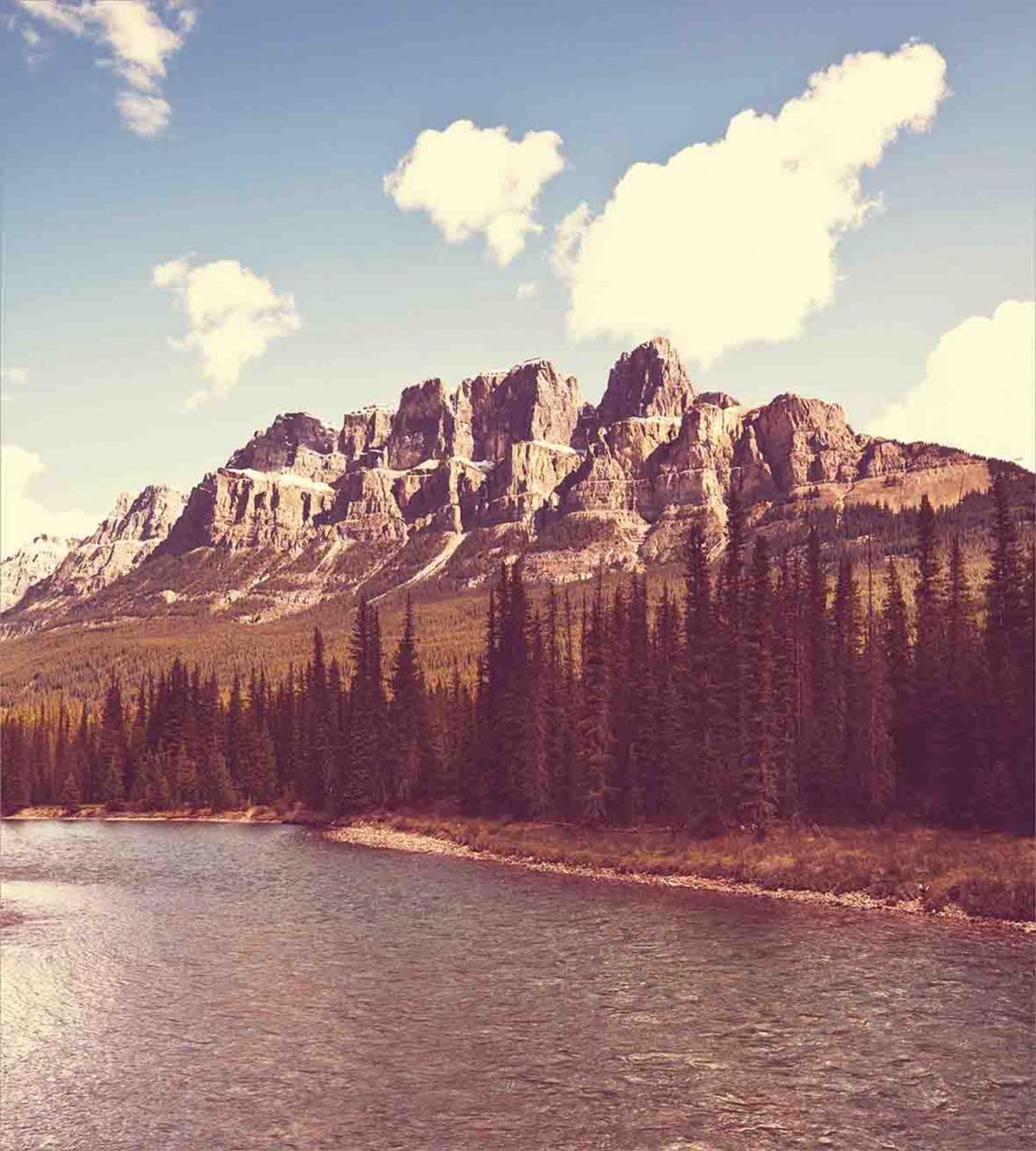 Canada River and Trees — Pattern