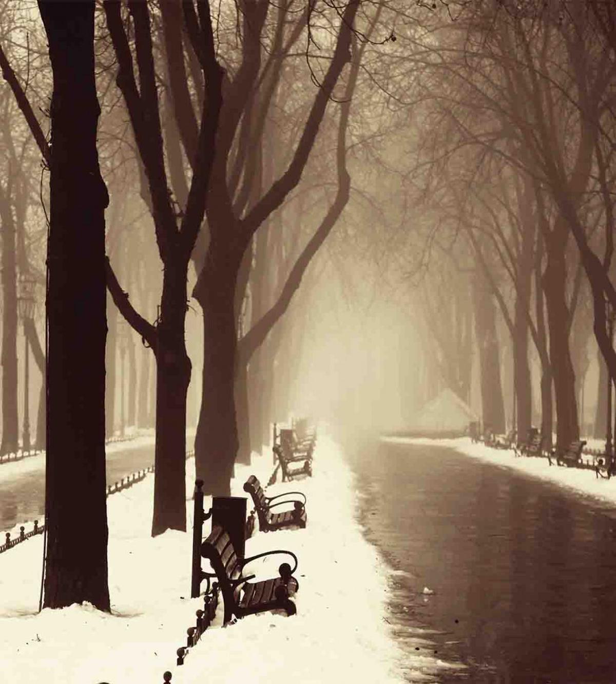 Street View Foggy Day — Pattern