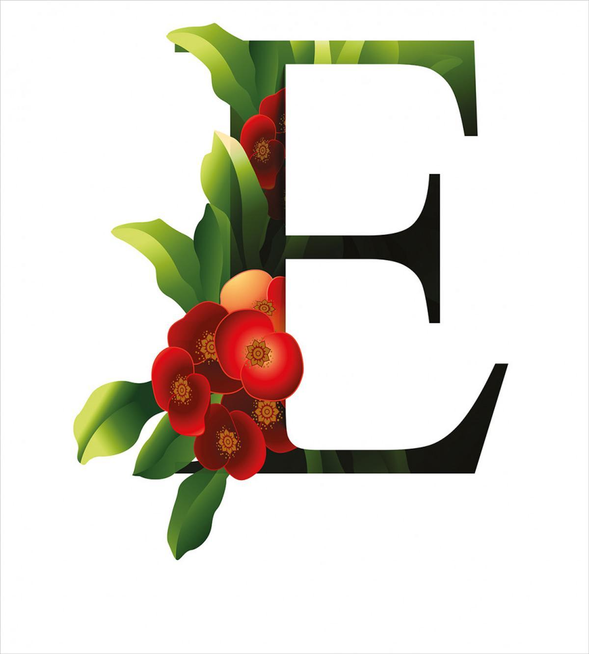 Alphabet Red Blooms — Pattern