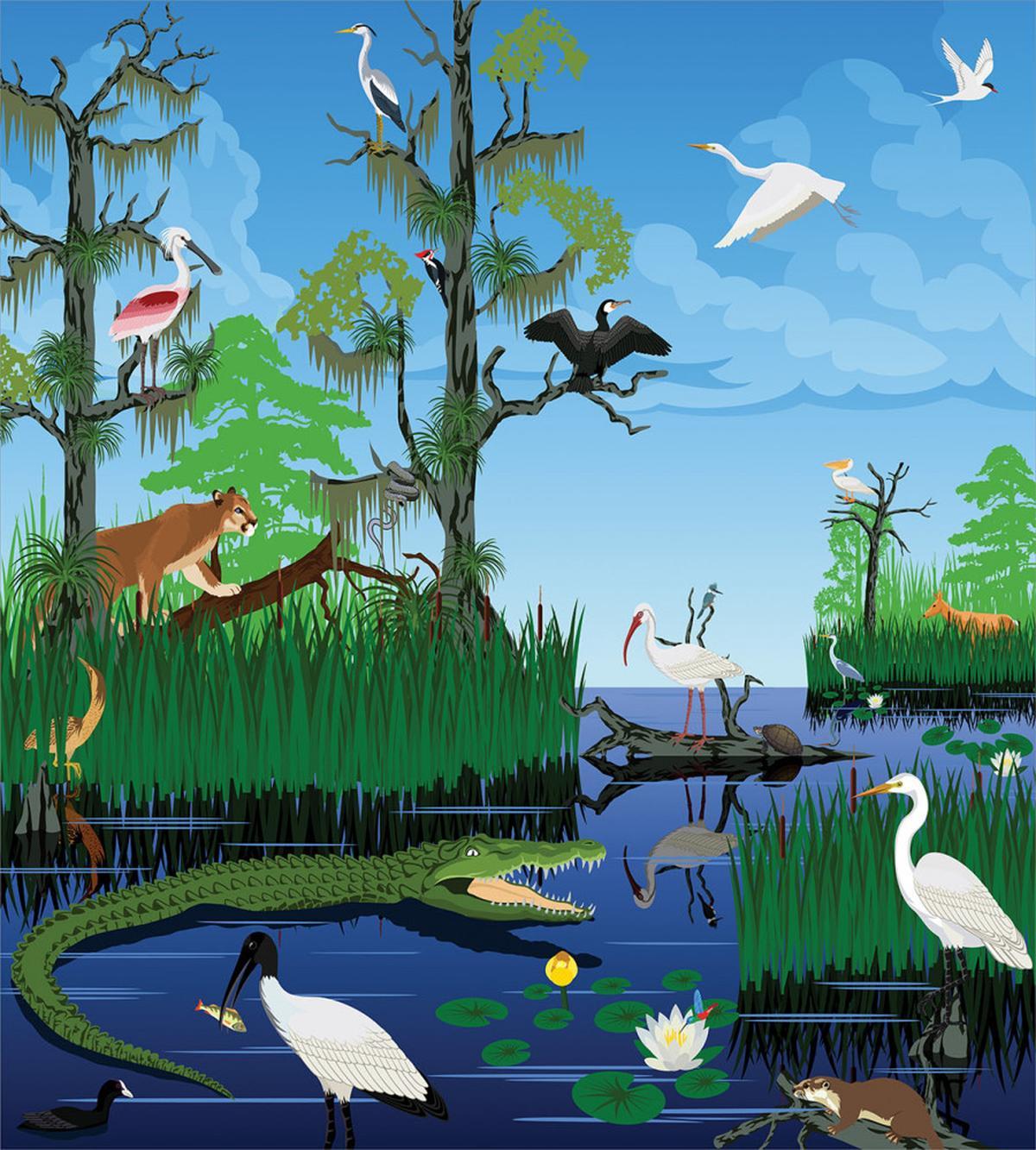 Wild Fauna Around the River — Pattern