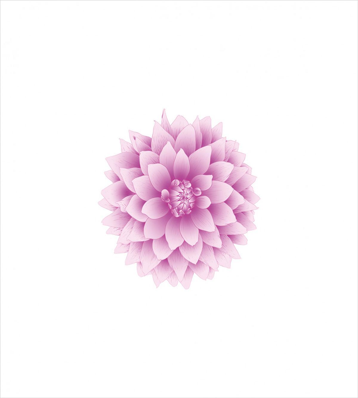 Purple Dahlia with Magenta — Pattern