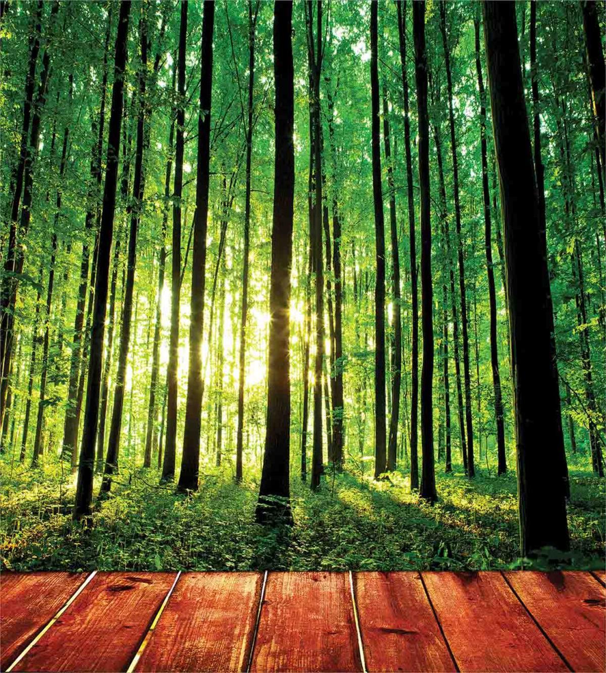 Sunlight Forest Trees — Pattern