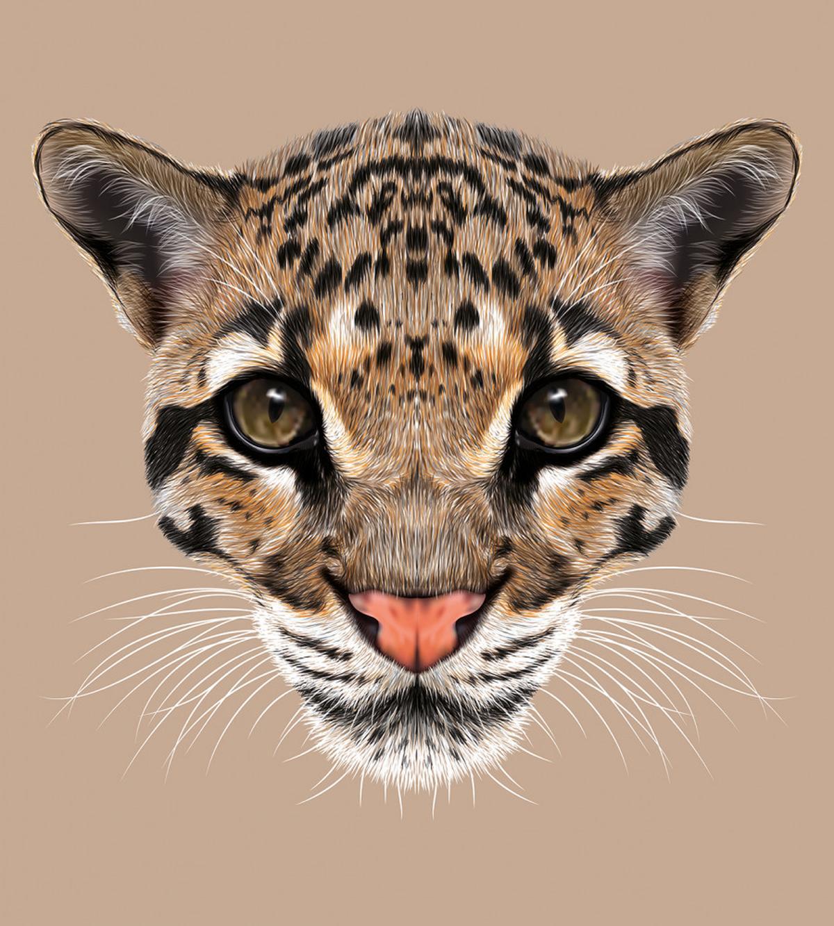 Baby Leopard Wild — Pattern