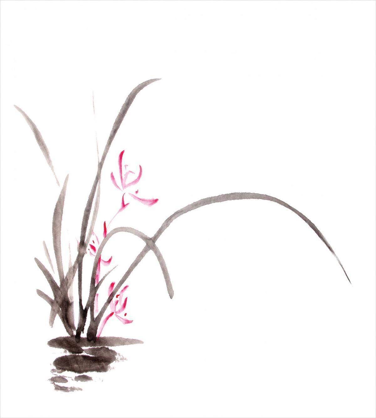 Traditional Ink Orchid — Pattern