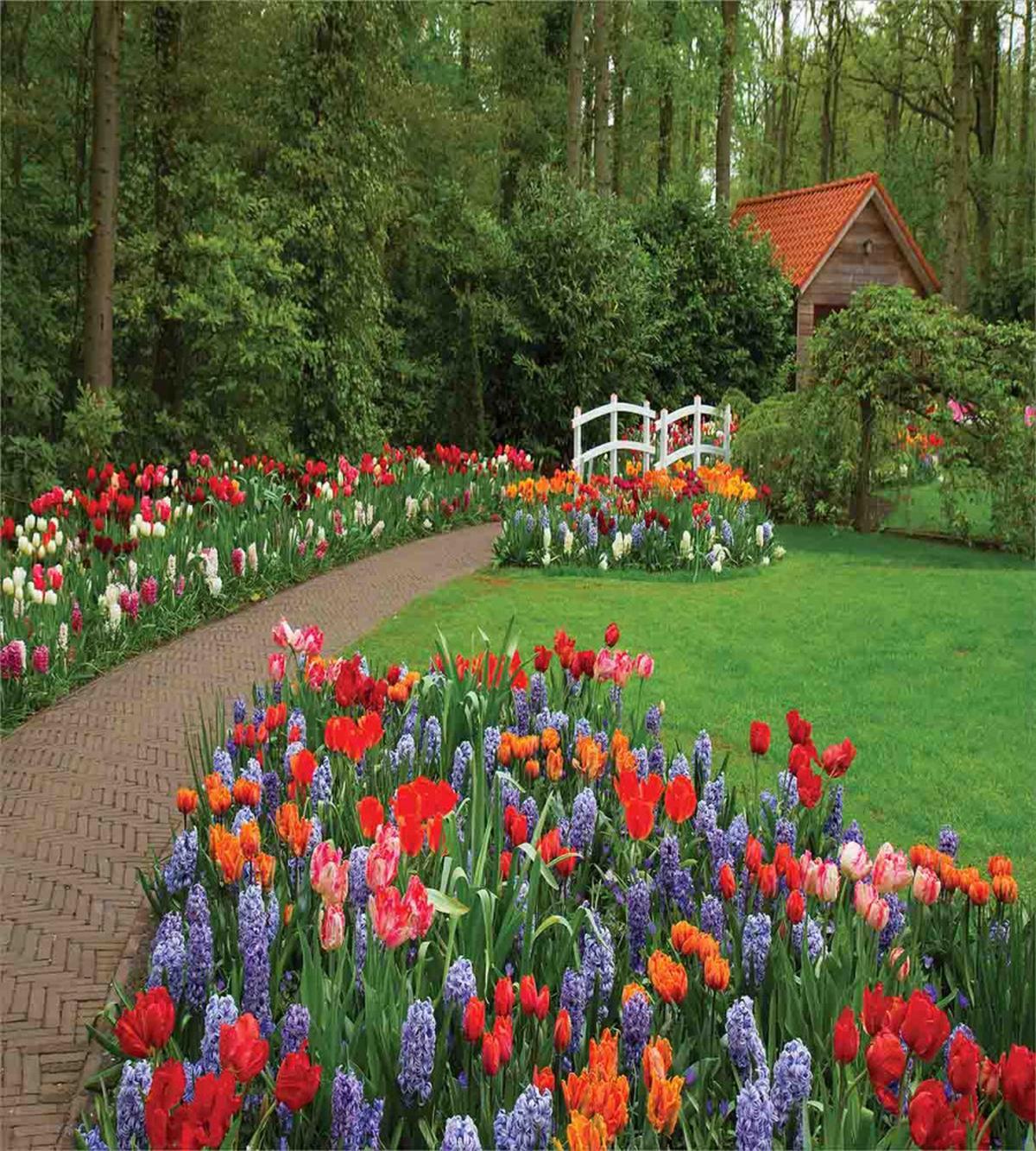 Spring Garden Forest — Pattern