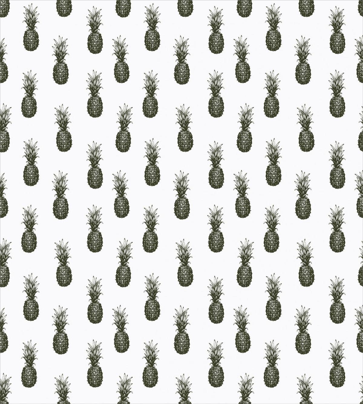Sketch of Pineapples — Pattern