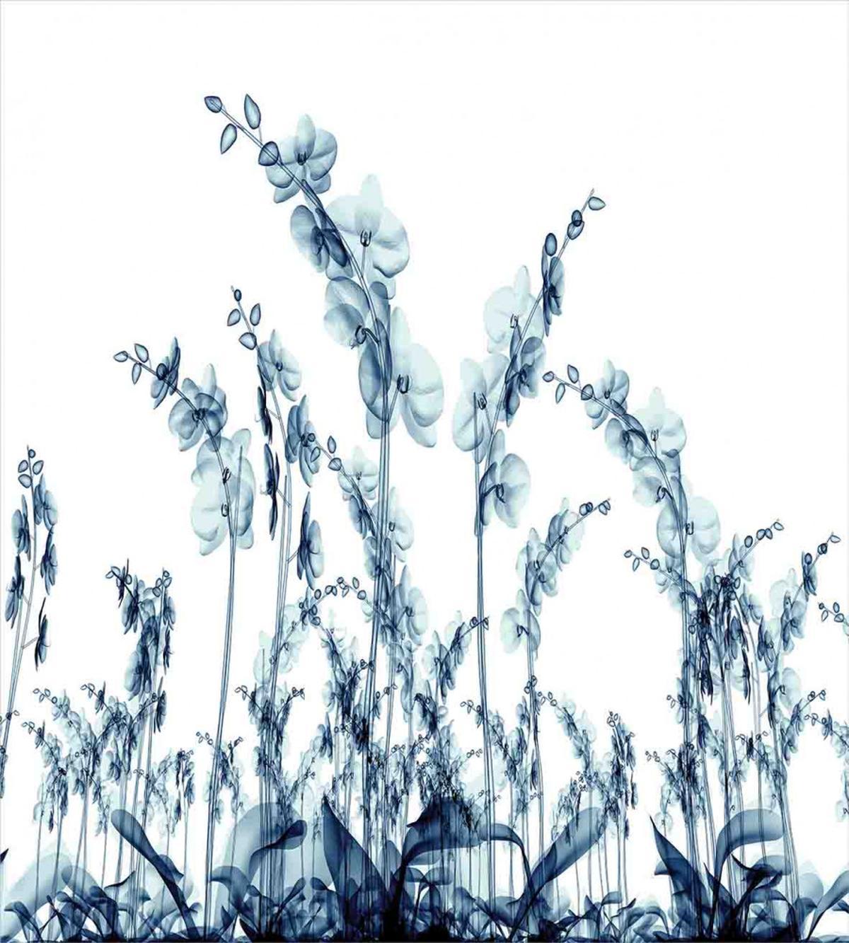 Wild Orchid Flowers — Pattern