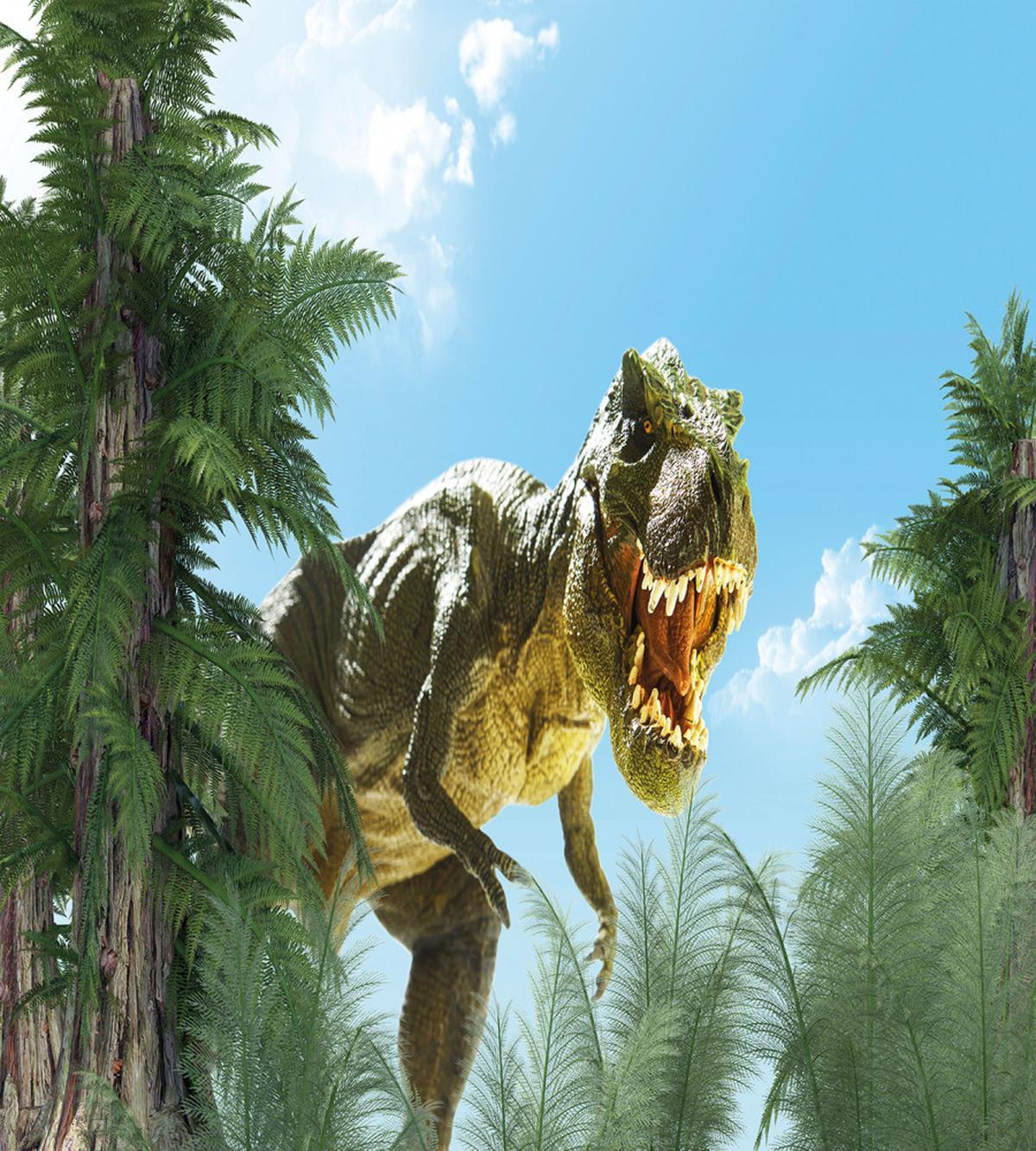 Jurassic Monster Fossil — Pattern