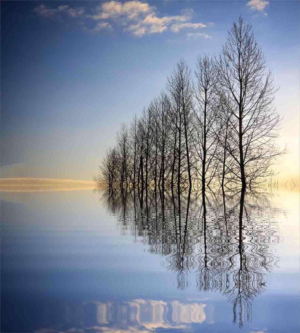Frozen Lake in Nature — Pattern