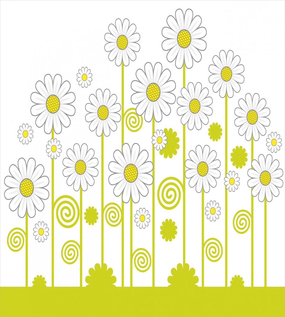 Daisises Flowers Garden — Pattern