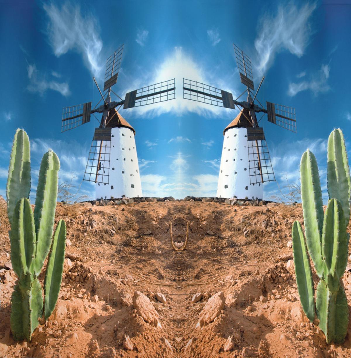 Windmill and Exotic Cactus — Pattern