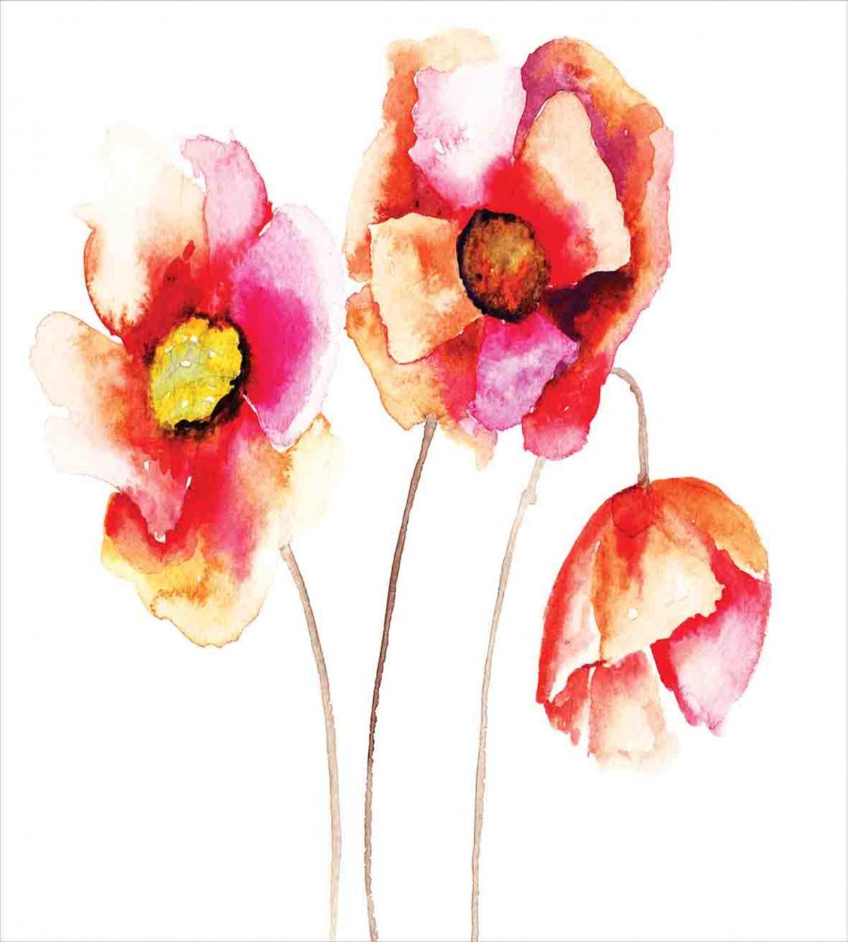 Blooming Poppies — Pattern