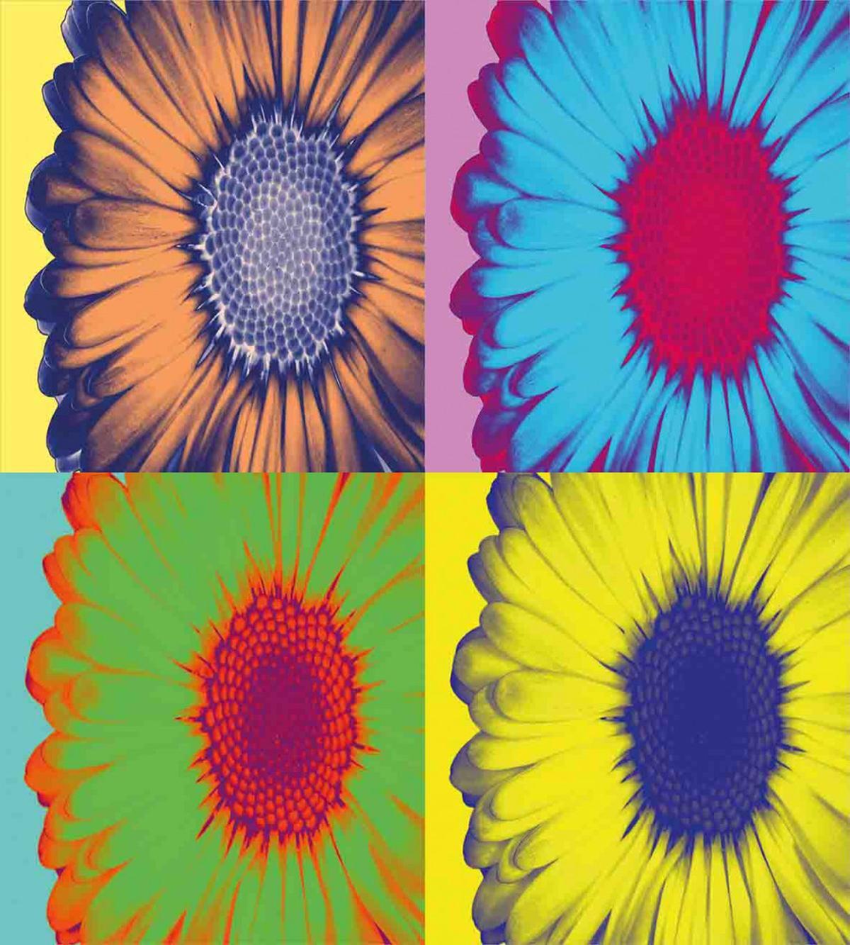 Daisy Flower Collage — Pattern