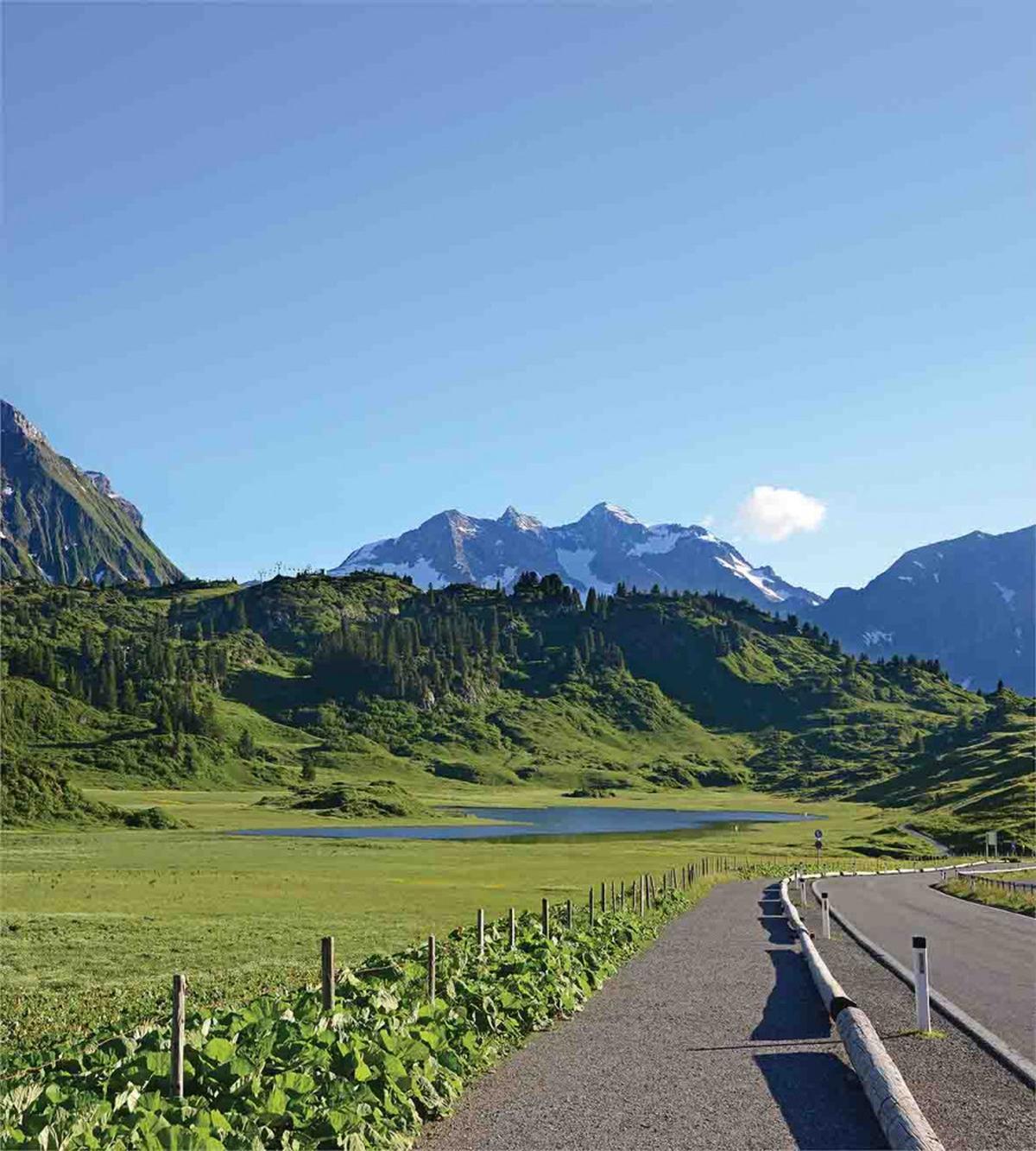 Mountain and Grassy Land — Pattern