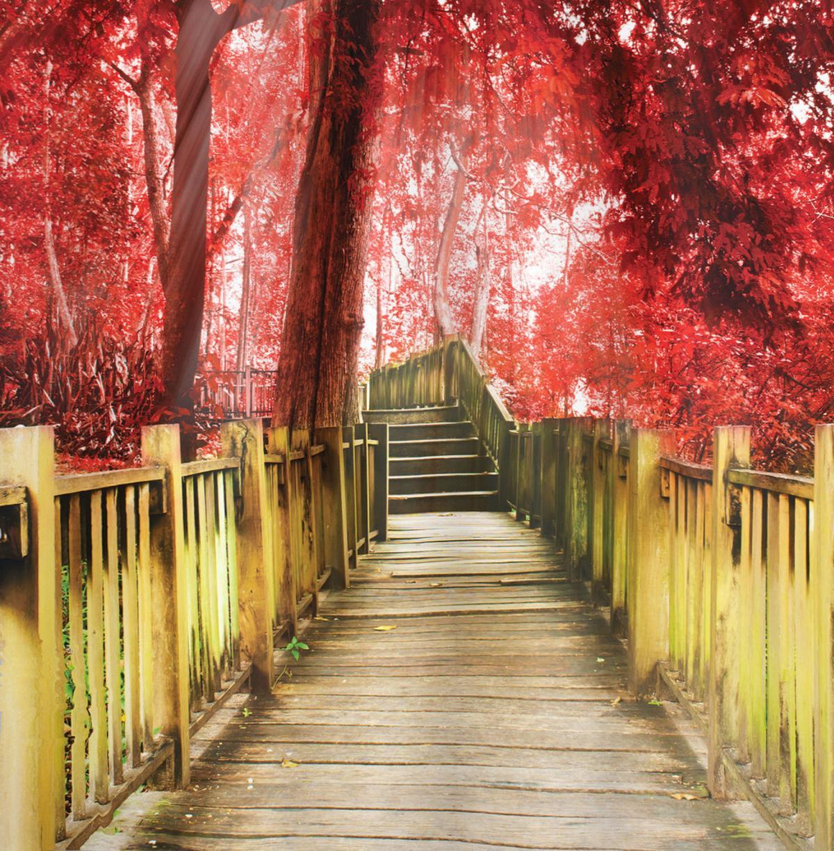 Autumn Farmhouse Woods Park — Pattern