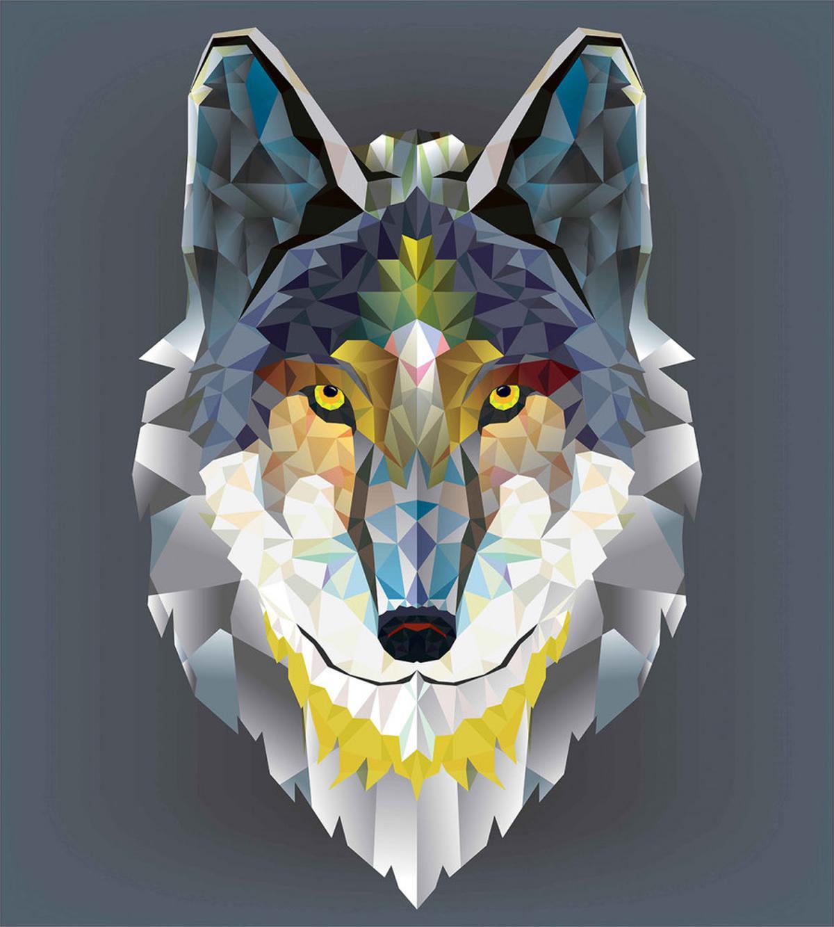 Wolf Coyote Portrait Art — Pattern