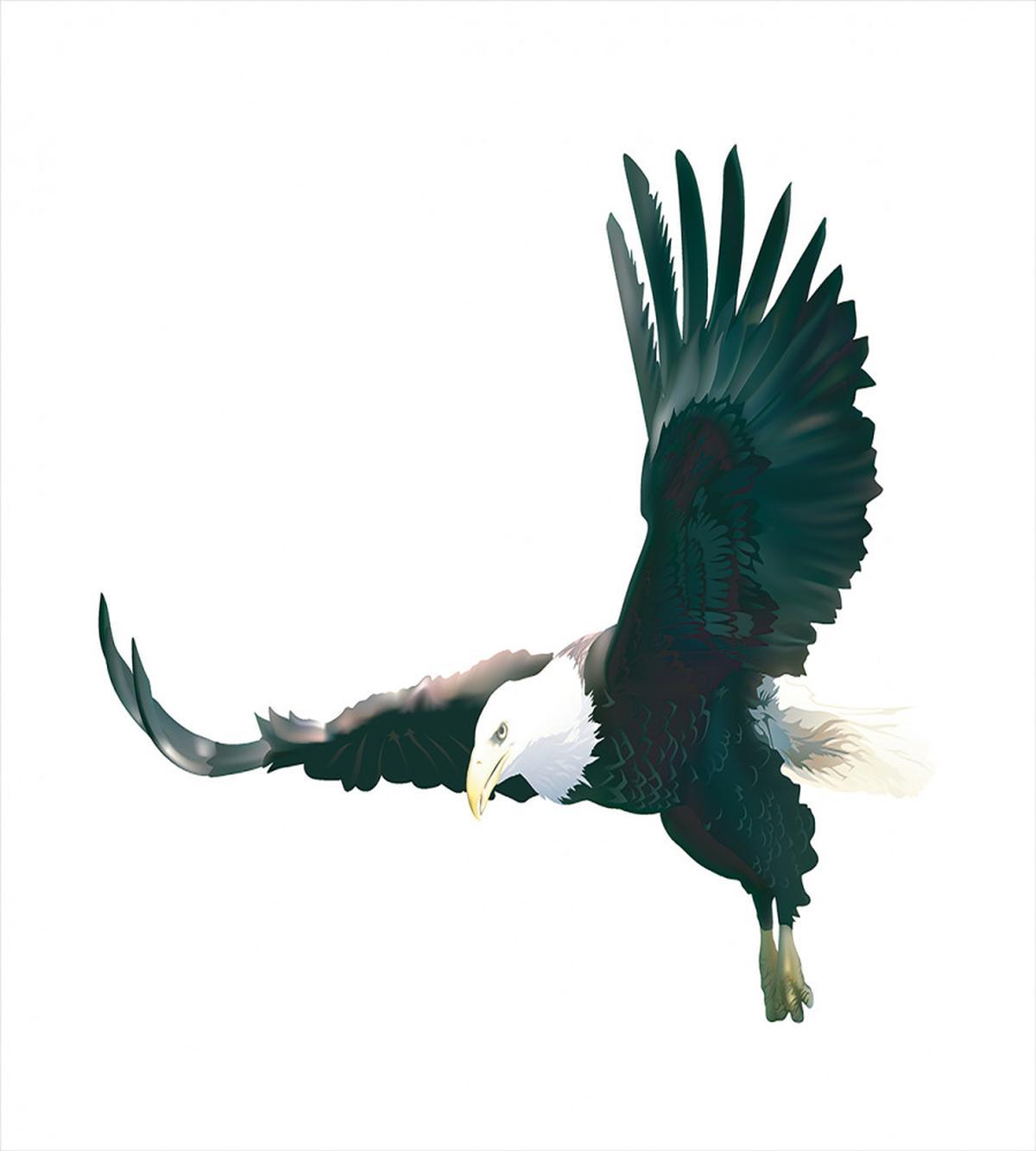 Huge Predator in Skies — Pattern