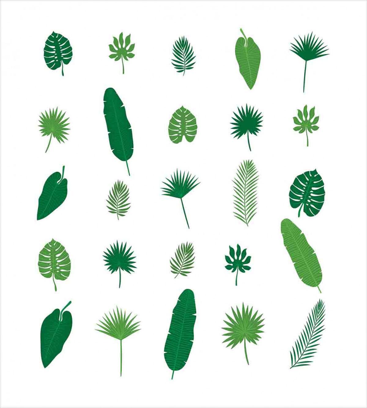 Tree Species Nature — Pattern