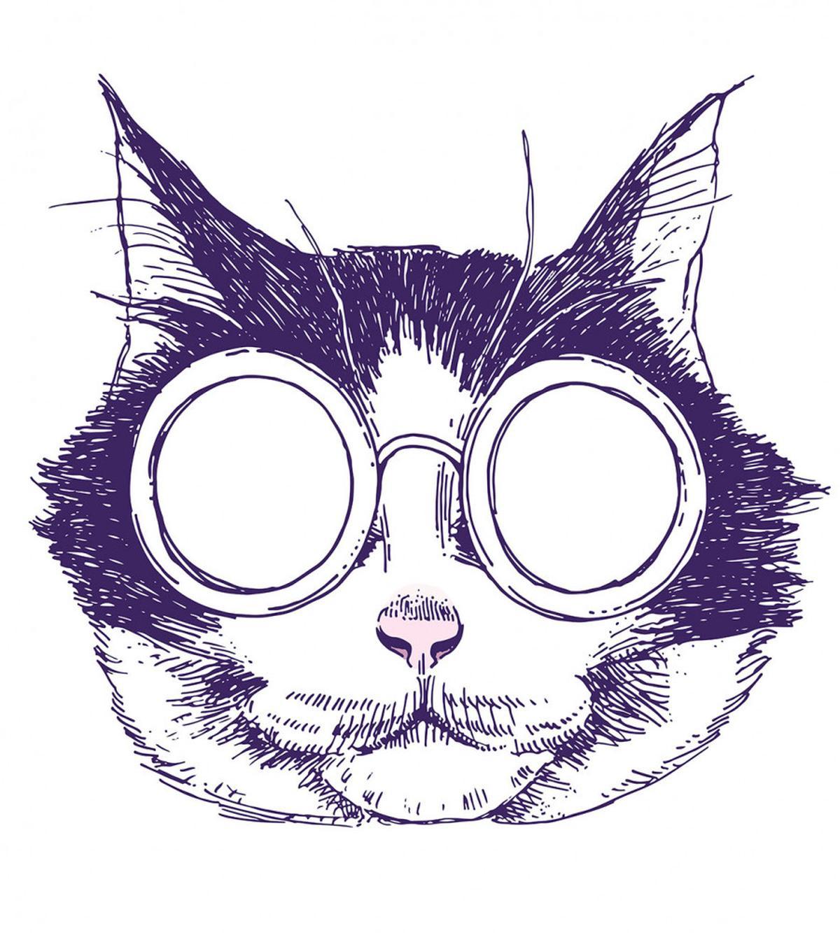 Funny Cool Pet Sunglasses — Pattern