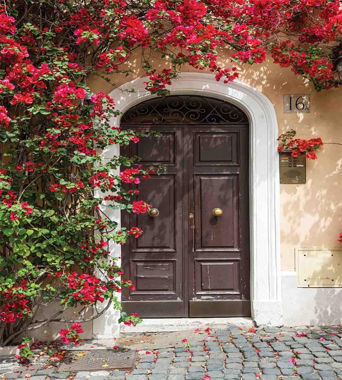 Old Door with Flowers — Pattern
