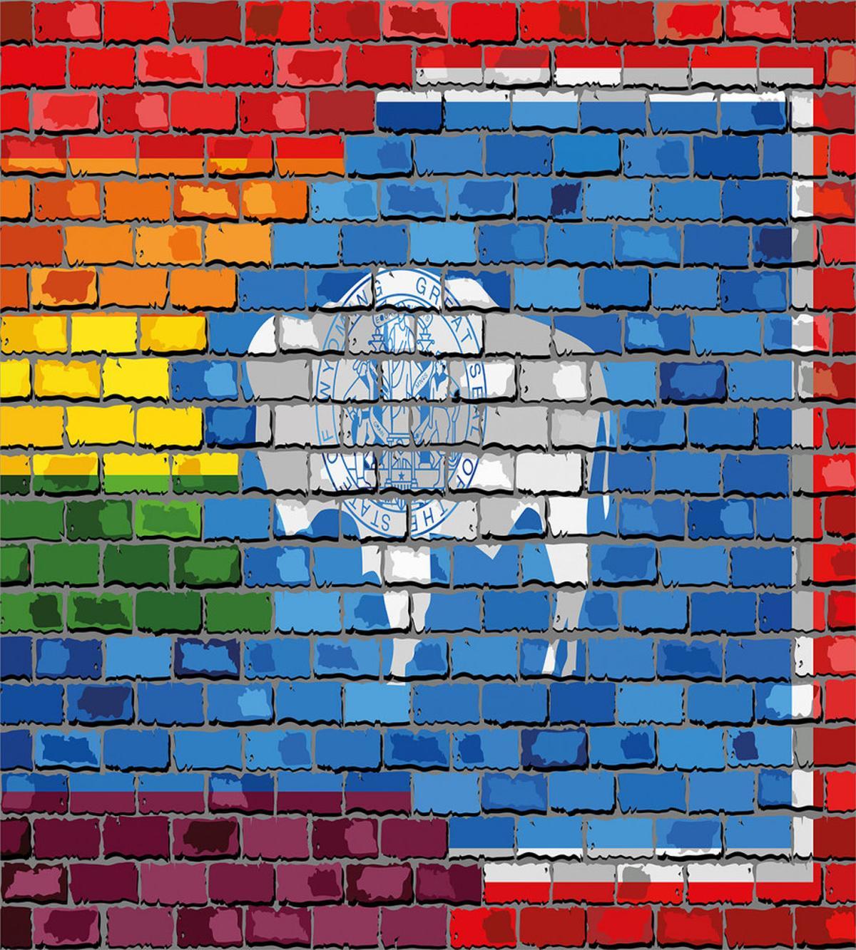 Equality State and Gay Flag — Pattern