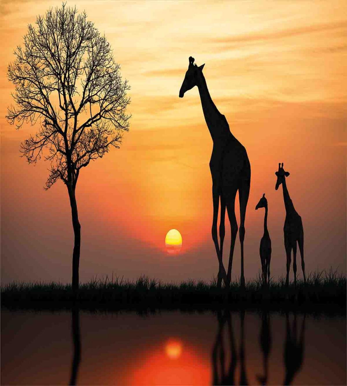 Giraffe in Wild Forest — Pattern