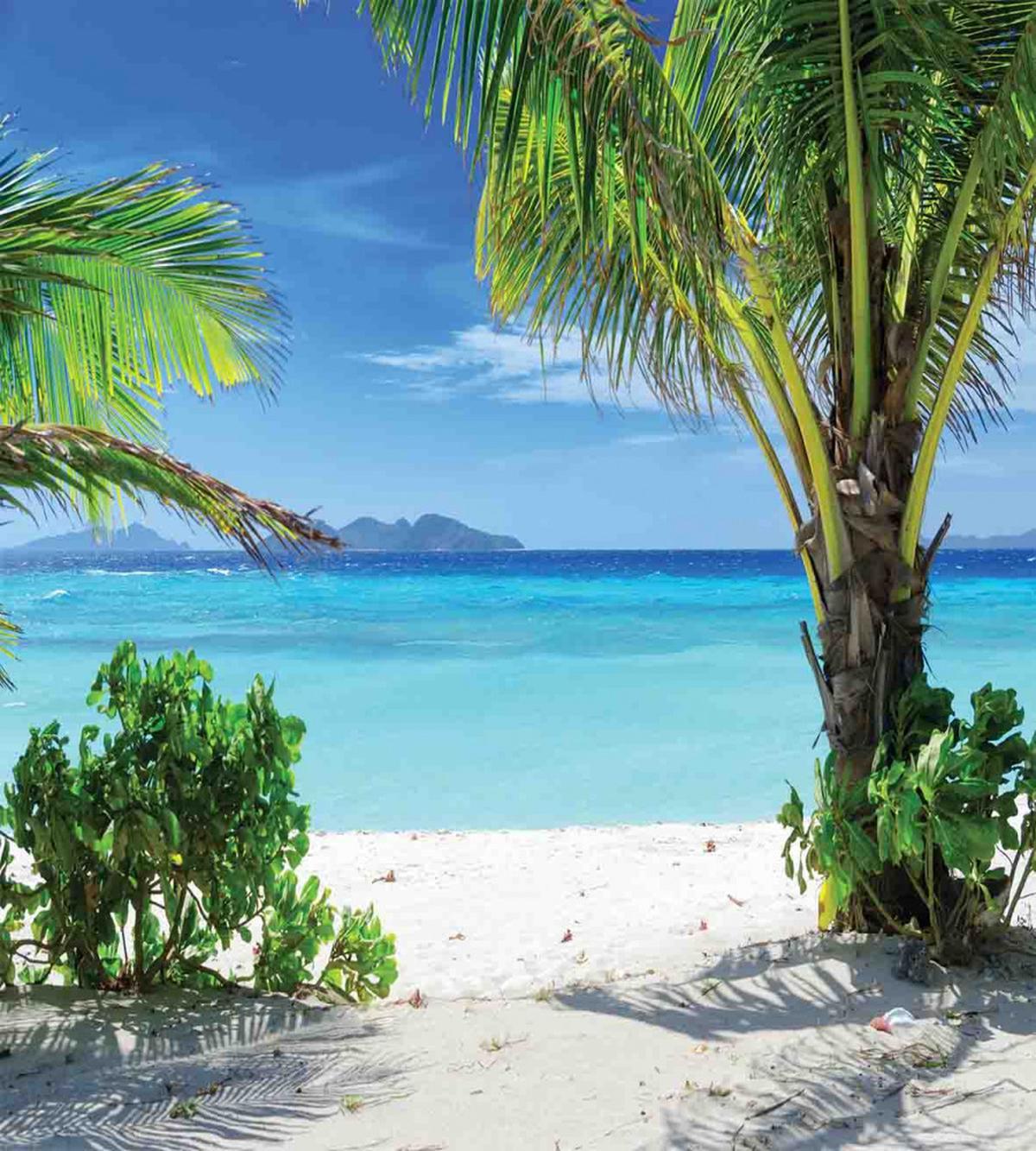 Idyllic Oceanic Resort — Pattern