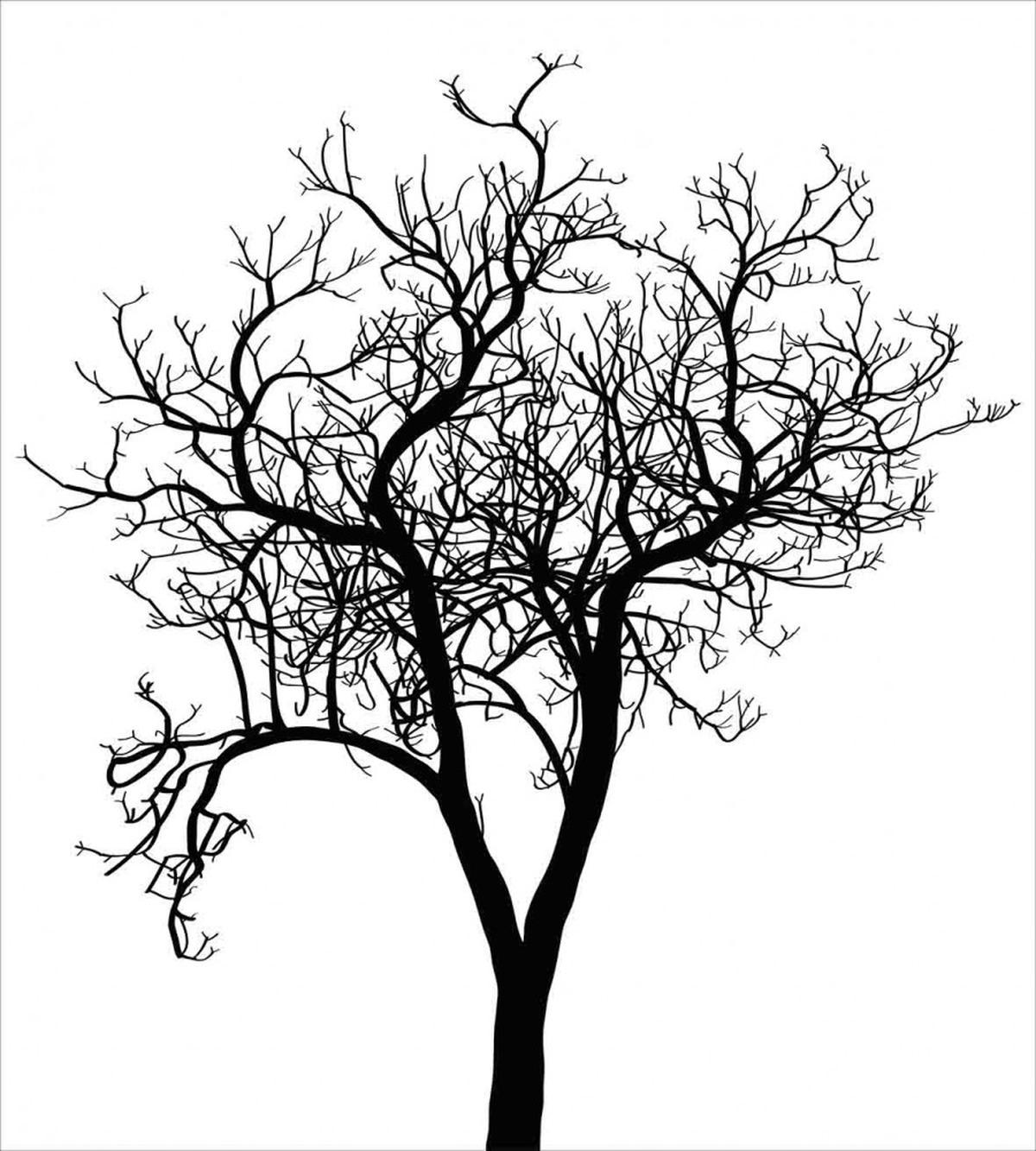Barren Branch Fall — Pattern