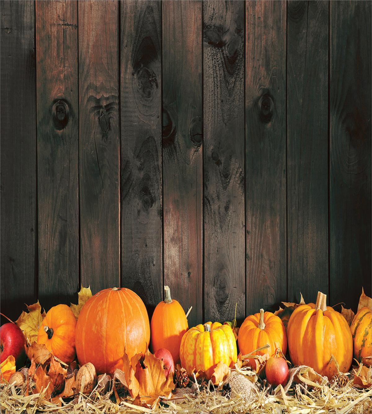 Thanksgiving Pumkins — Pattern