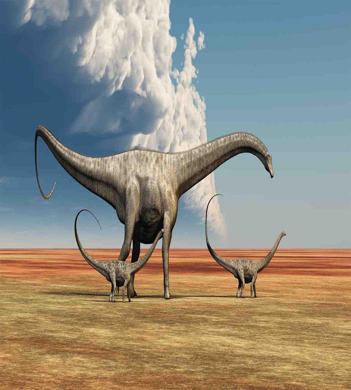 Diplodocus Dinasours — Pattern