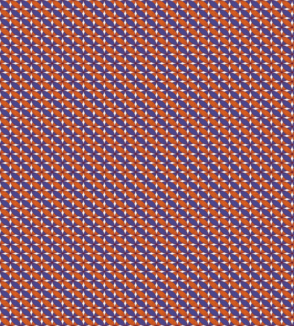Bicolour Floral Grid — Pattern